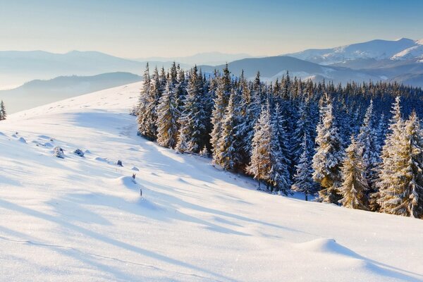 Chaîne de montagnes enneigée avec forêt de sapins