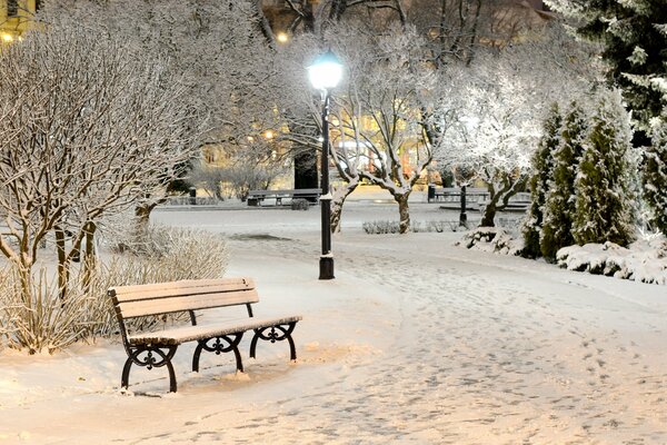 Banco de invierno, noche de nieve helada