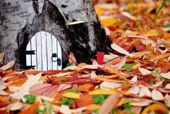 Casa delle fate nella foresta. Autunno