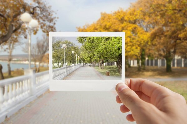 Blick auf den Park im Sommer und Herbst