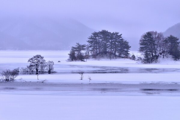 Fog in the mountains. Islands of trees in the snow