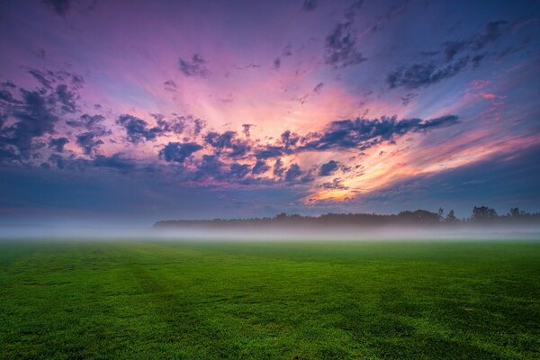 Beautiful sunset in the field