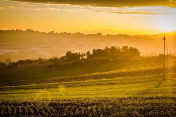 Helle Sonnenstrahlen auf dem Feld