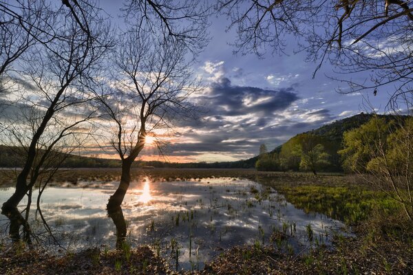 Inundación en primavera en el bosque. El sol y los árboles