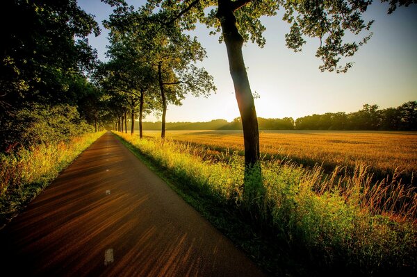 A passing road near a field with trees