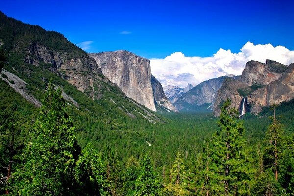 Magnifiques paysages de montagne et de forêt