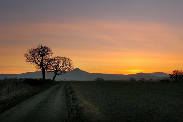 Montañas y árboles al atardecer