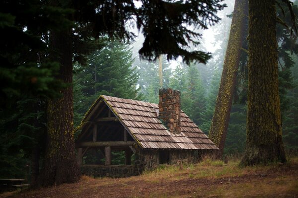 A lonely wooden house in the forest