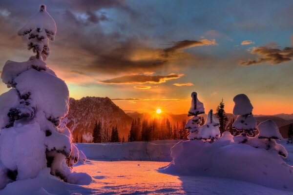 Schöner Sonnenuntergang im verschneiten Wald