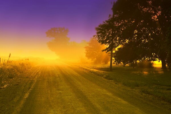 Hermoso amanecer en el fondo de los árboles y la hierba