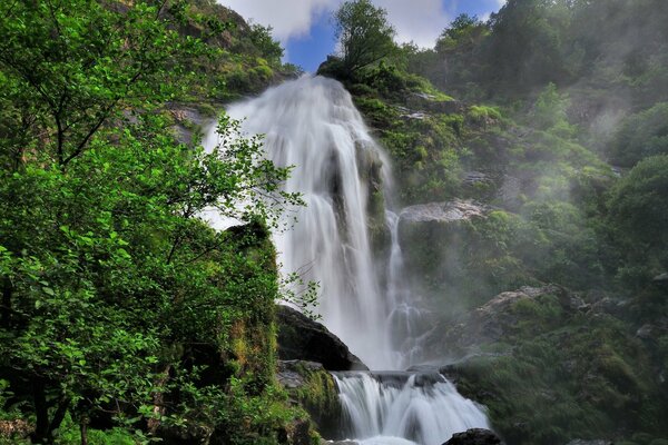 Bella cascata su uno sfondo di alberi