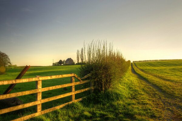 Landschaft mit Natur und großem Zaun