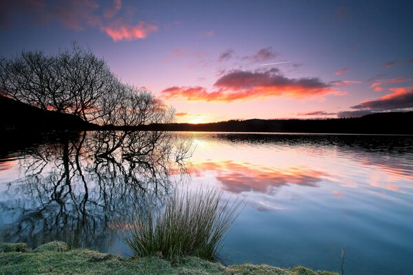 Lago crepúsculo en el bosque, - quiero ir allí