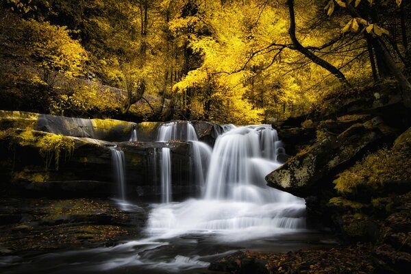 Waterfall in the autumn forest