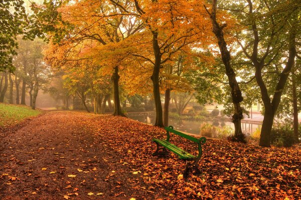 Sendero de otoño en el parque favorito