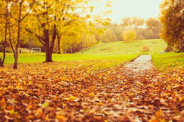 Herbststraße mit Blättern übersät