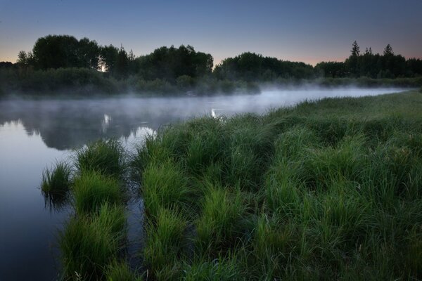 Nebel im Morgengrauen über dem Wasser