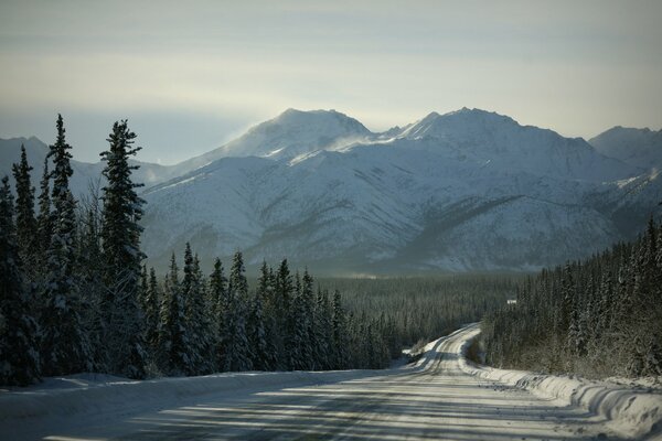 Paysages d hiver sur le chemin de la montagne