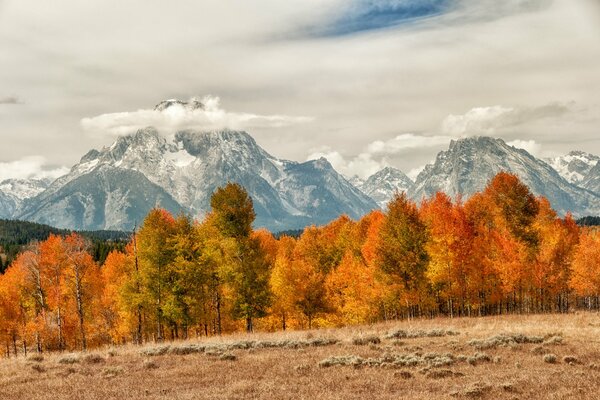 Herbstliche Natur auf dem Hintergrund des Berggipfels