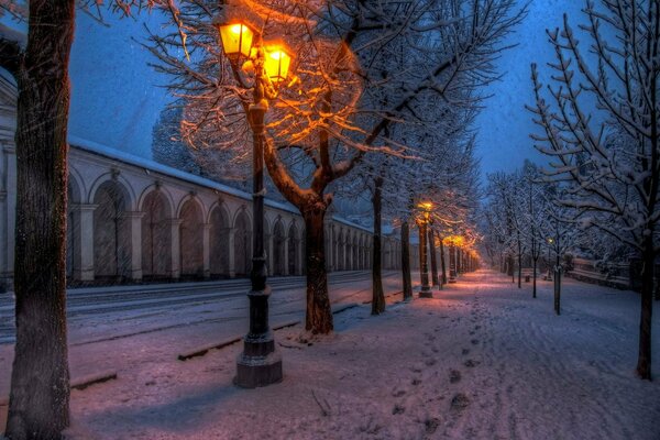 A quiet winter walk on the road