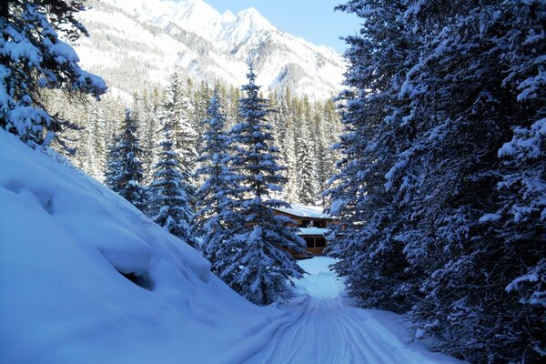 A hut in a snowy forest at the foot of the mountains