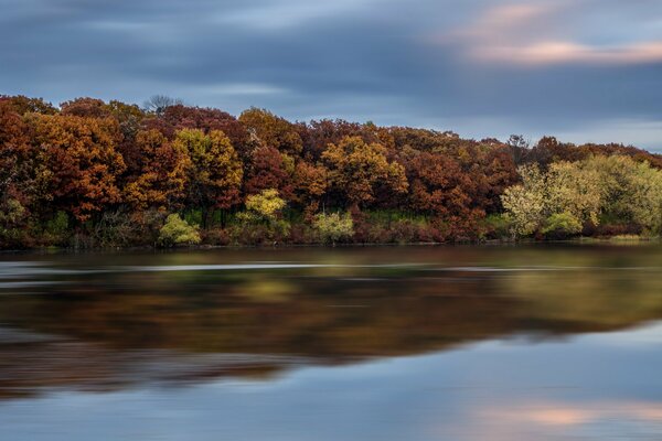 3D landscapes forests and rivers