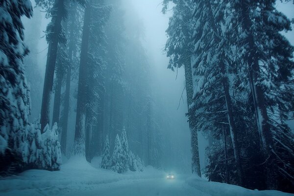 Camino de nieve blanca de invierno