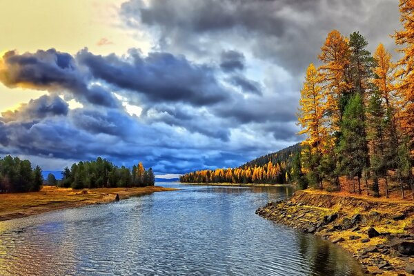 Aube dans la forêt d automne sur la rive de la rivière