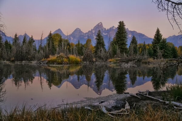 A lake with a reflection of the forest and mountains