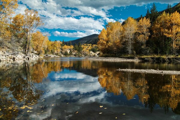 Autumn forest, mirror river. Nature in autumn