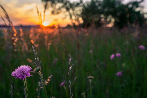 The most beautiful time is the evening sunset