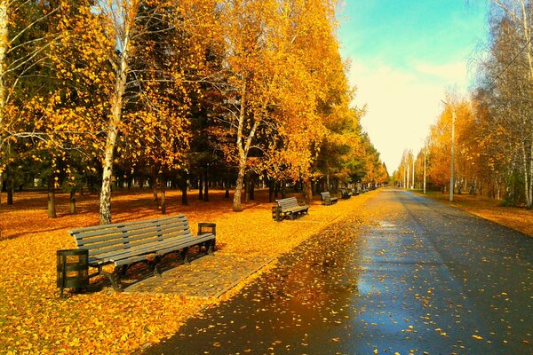 Golden Park à Omsk