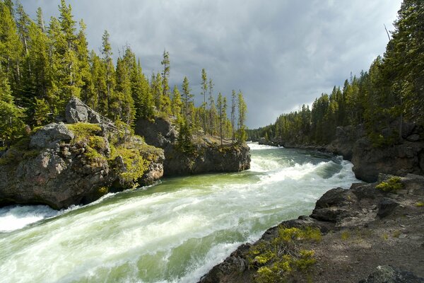 The green color of the river and Christmas trees