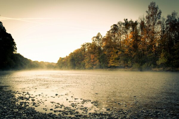 Foto del fiume mattutino. Nebbia e alberi