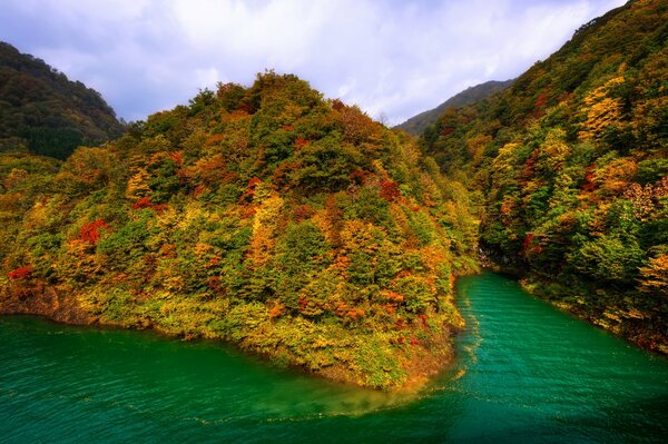 Forêt d automne et montagnes au Japon