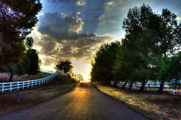 Paisaje con naturaleza, carretera y nubes