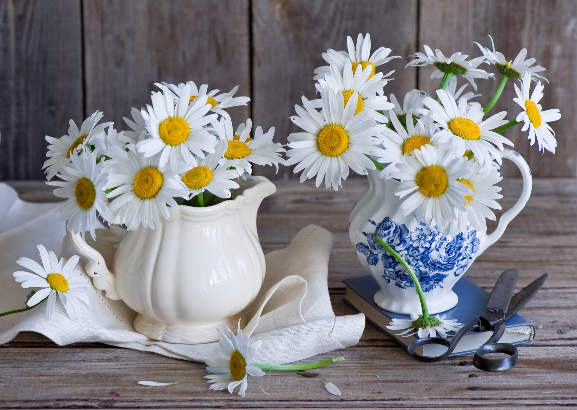 marguerites nénuphars ciseaux livre nature morte