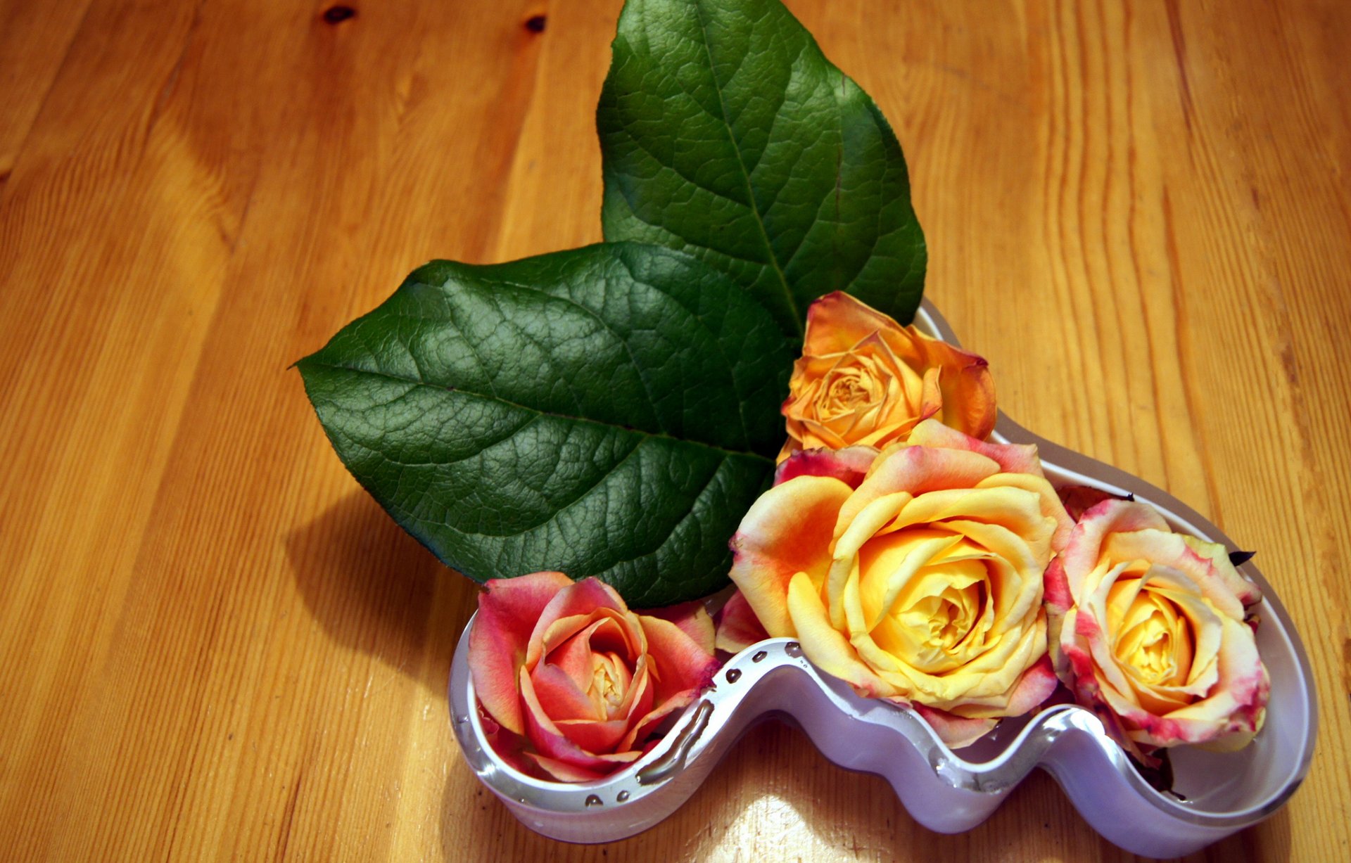 roses buds leaves vase