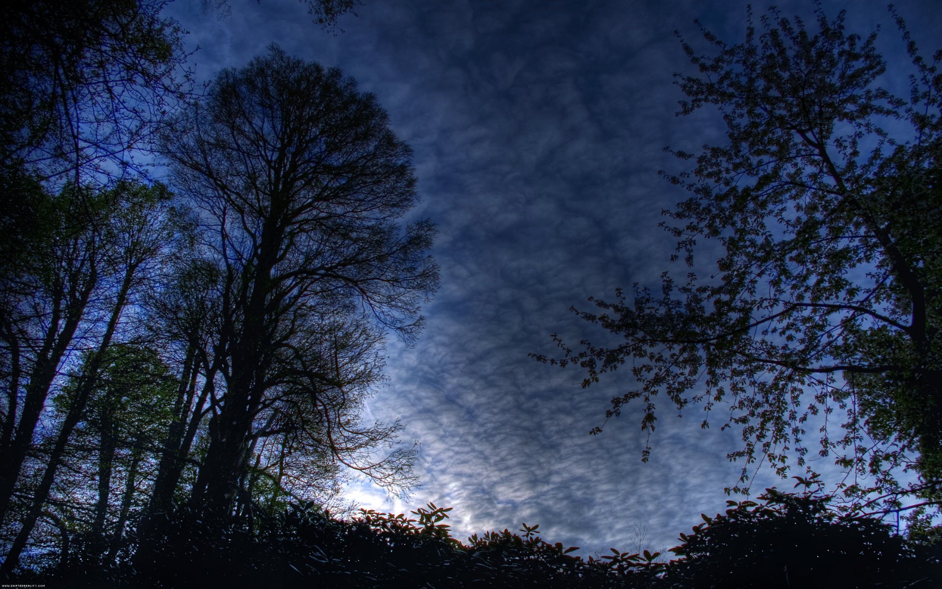 noche paisaje cielo