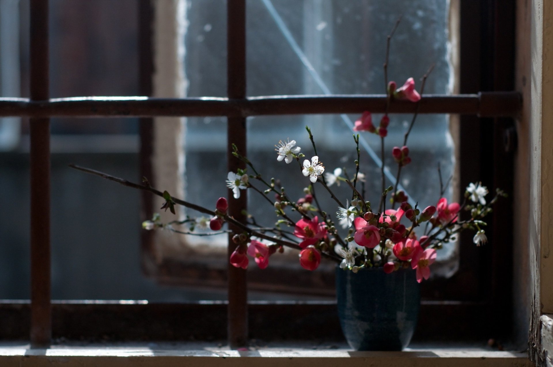 fleurs fenêtre fond