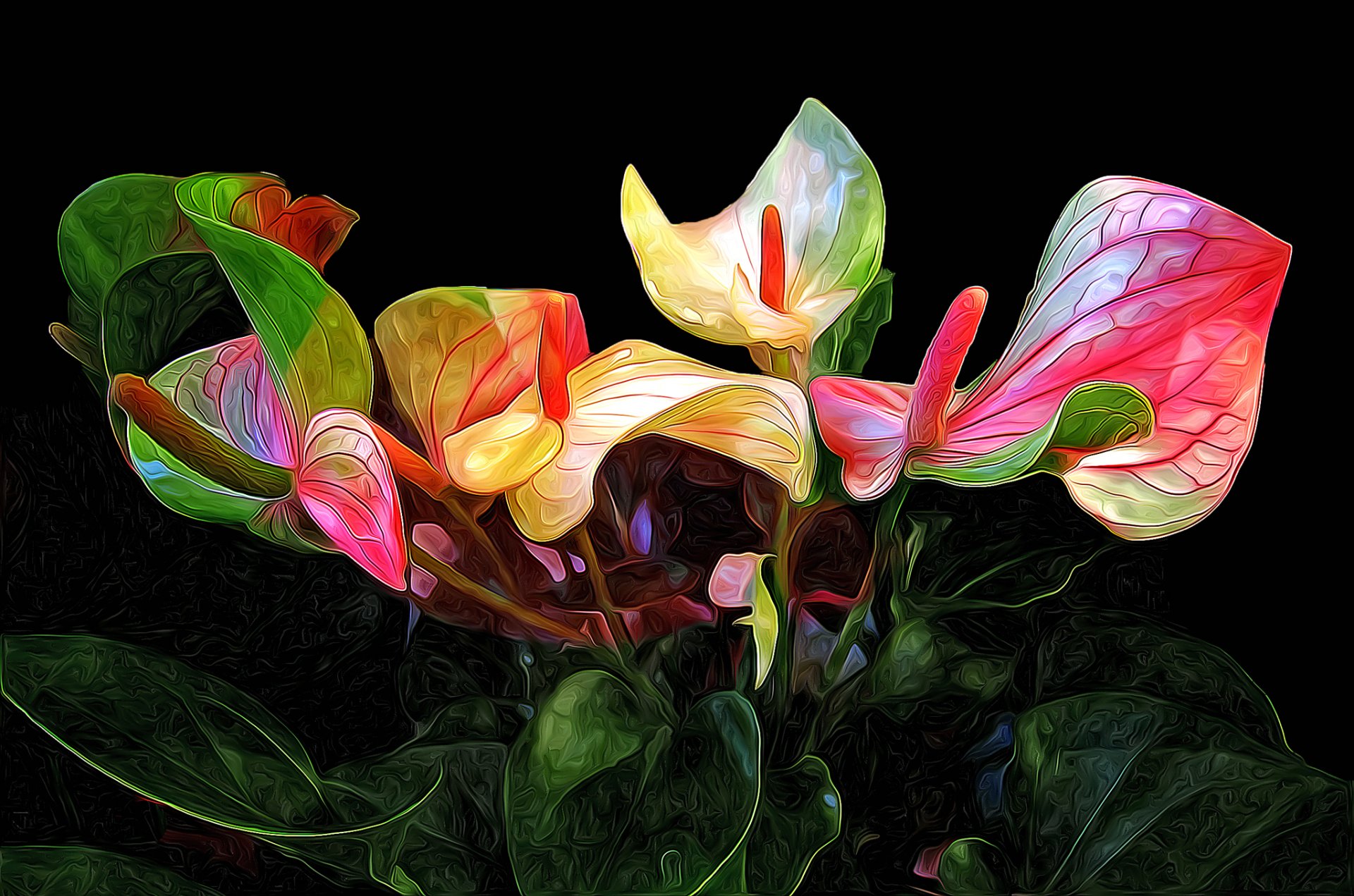 flower anthurium line background petals leave