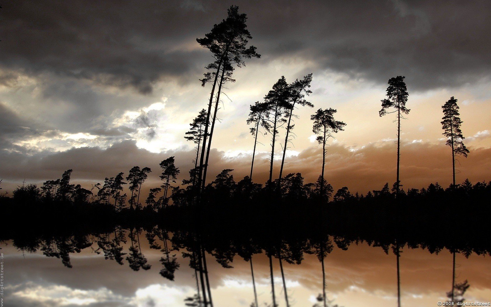 night river tree