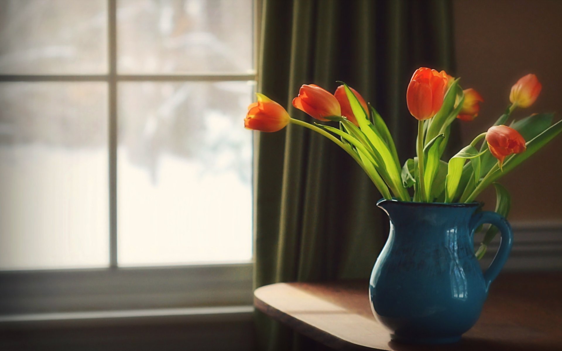 tulipes vase fond