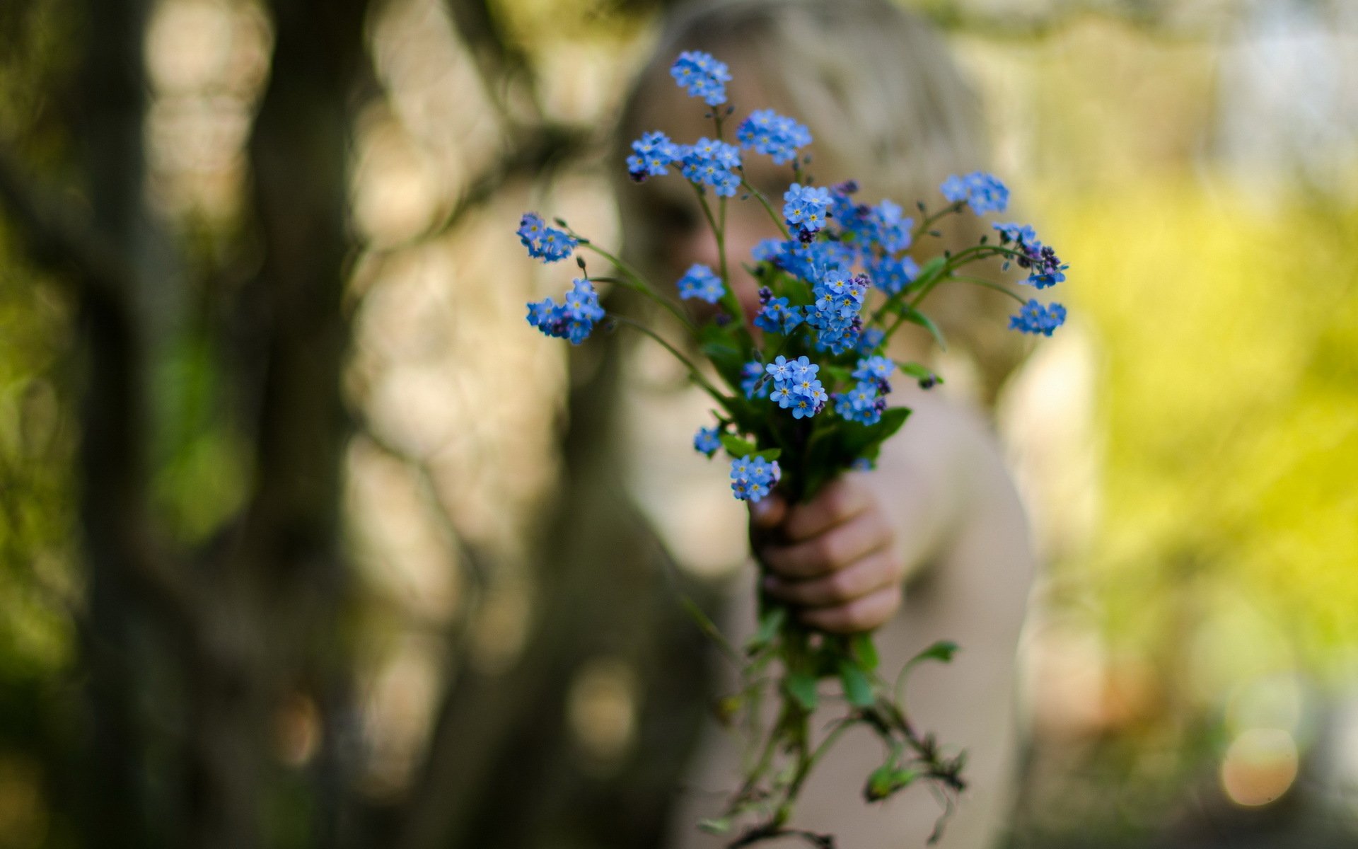 blumen hand stimmung