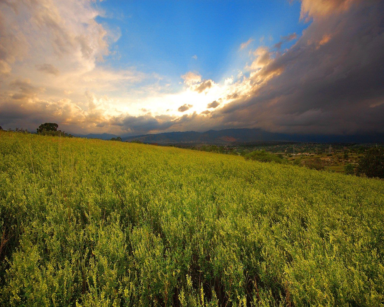 the field sky sun wallpaper