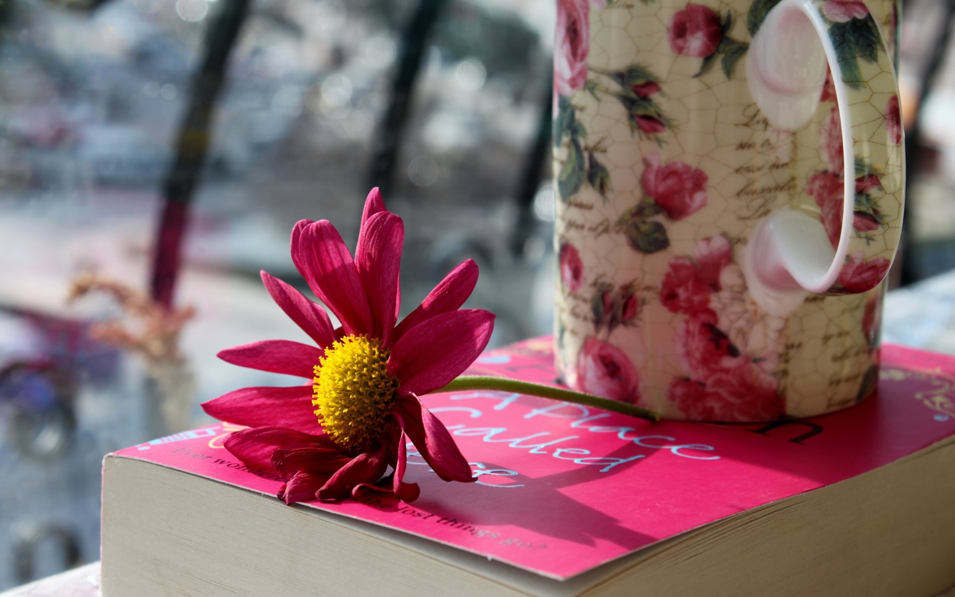 rosa flor taza libro taza pétalos foto