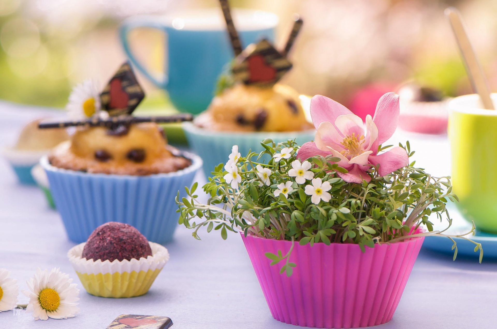 moules fleurs muffins muffins