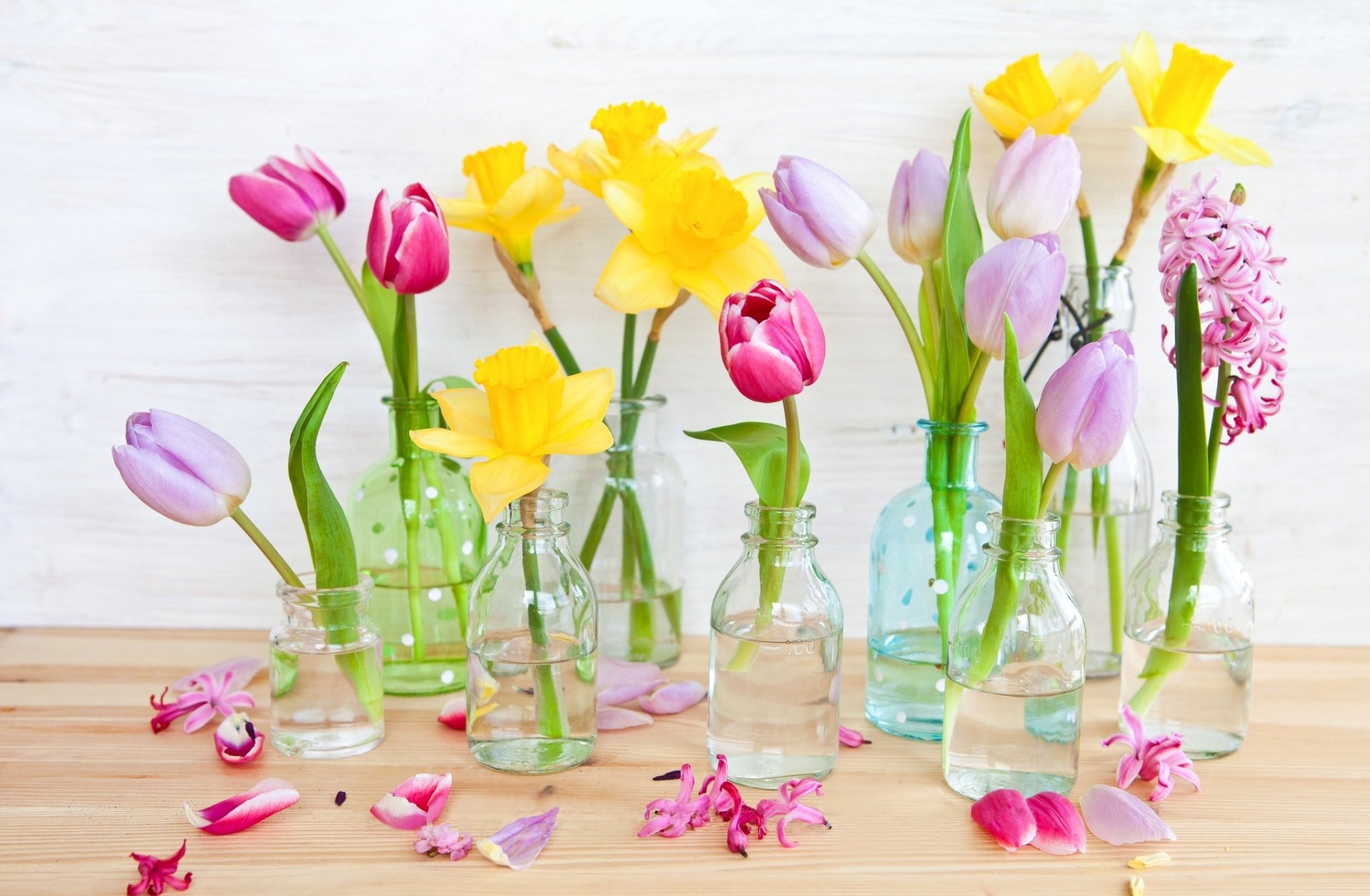 fleurs tulipes rose jonquilles jaune pétales bouteilles