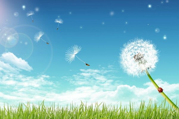 Dandelion parachutes soar to a clear sky