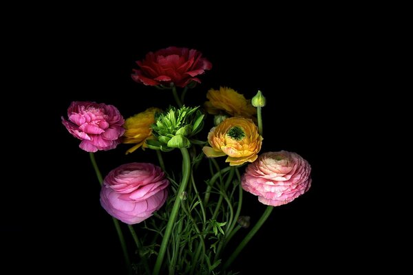 Tiges de fleurs dans un bouquet avec des pétales d ombre